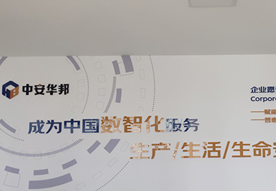 中安华邦