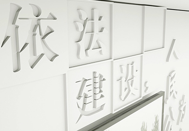 某公安分局入口形象墙
